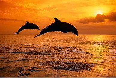 《使命召唤20：现代战争3》多人首发模式公布 更多后续推出