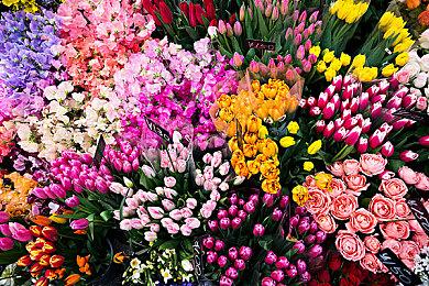 《桃花公主：表演时刻》新预告片展示更多变身效果