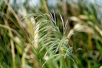 全新科幻FPS游戏《合金天使：堕入伊甸》现已上线