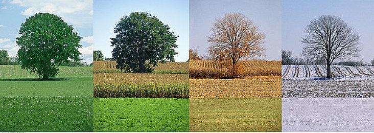 -54%！《极限竞速：地平线5》黑五史低组合包特惠！报名“跨年杯”赢豪礼